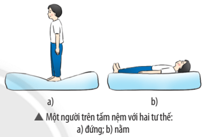 Vì sao khi một người đứng trên tấm nệm (Hình a) thì bề mặt của nệm bị lún nhiều hơn