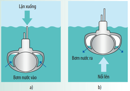 Vận dụng 1 trang 88 KHTN lớp 8