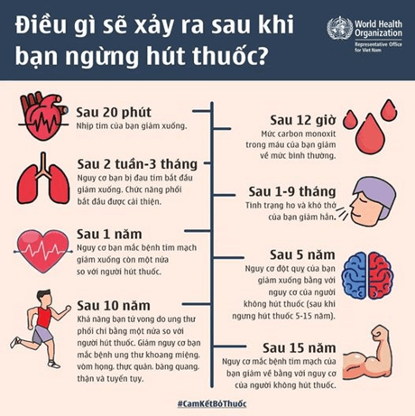 Thiết kế một sản phẩm (áp phích, video clip,…) để tuyên truyền về tác hại