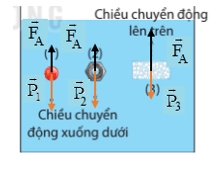 Hãy biểu diễn các lực tác dụng vào viên bi, ốc vít kim loại