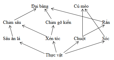 Lấy ví dụ và vẽ sơ đồ về lưới thức ăn