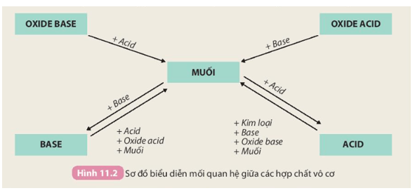 Tính chất hoá học của các hợp chất vô cơ được tóm tắt bằng sơ đồ dưới đây: