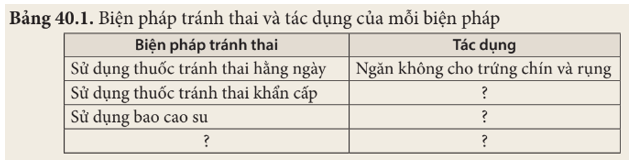 Tìm hiểu vai trò và các biện pháp tránh thai