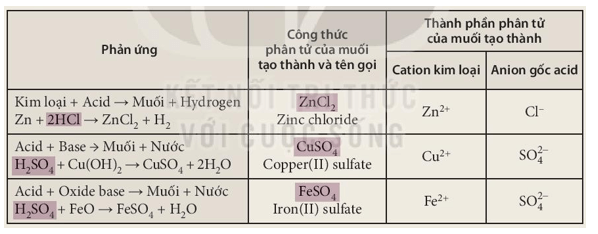 Tìm hiểu về các phản ứng tạo muối