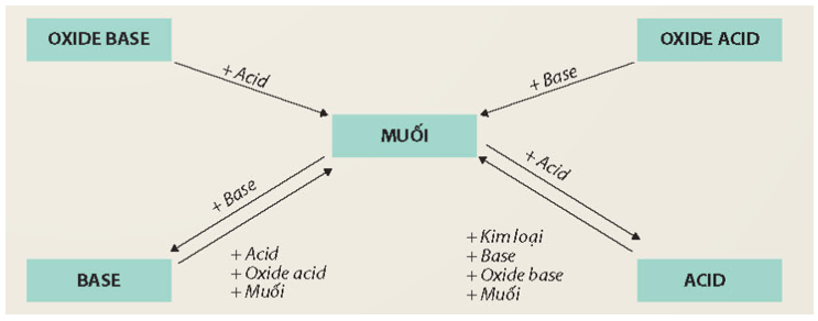 Lý thuyết KHTN 8 Kết nối tri thức Bài 11: Muối 