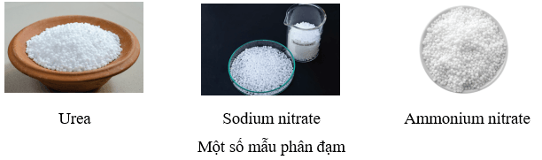 Lý thuyết KHTN 8 Kết nối tri thức Bài 12: Phân bón hóa học 