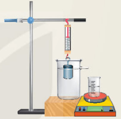 Lý thuyết KHTN 8 Kết nối tri thức Bài 17: Lực đẩy Archimedes