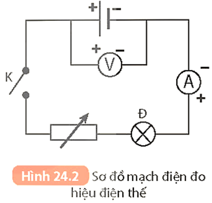 Lý thuyết KHTN 8 Kết nối tri thức Bài 24: Cường độ dòng điện và hiệu điện thế