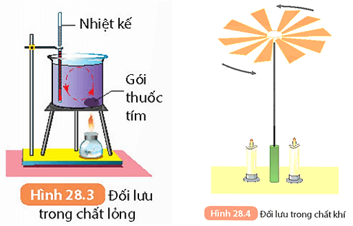 Lý thuyết KHTN 8 Kết nối tri thức Bài 28: Sự truyền nhiệt