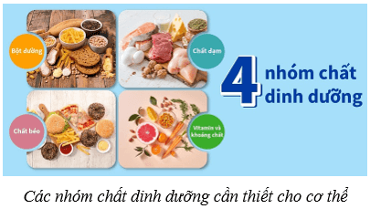 Lý thuyết KHTN 8 Kết nối tri thức Bài 32: Dinh dưỡng và tiêu hóa ở người 