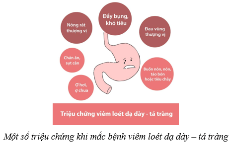 Lý thuyết KHTN 8 Kết nối tri thức Bài 32: Dinh dưỡng và tiêu hóa ở người 