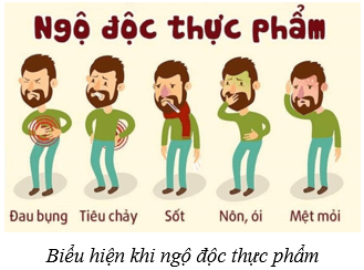 Lý thuyết KHTN 8 Kết nối tri thức Bài 32: Dinh dưỡng và tiêu hóa ở người 