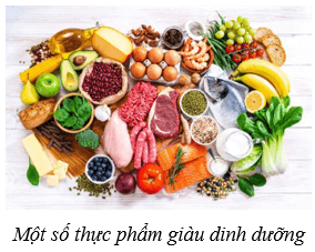 Lý thuyết KHTN 8 Kết nối tri thức Bài 32: Dinh dưỡng và tiêu hóa ở người 