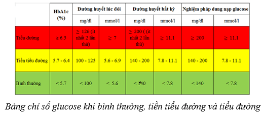 Lý thuyết KHTN 8 Kết nối tri thức Bài 36: Điều hòa môi trường trong của cơ thể người 