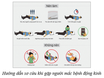 Lý thuyết KHTN 8 Kết nối tri thức Bài 37: Hệ thần kinh và các giác quan ở người 