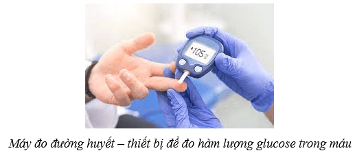 Lý thuyết KHTN 8 Kết nối tri thức Bài 38: Hệ nội tiết ở người 