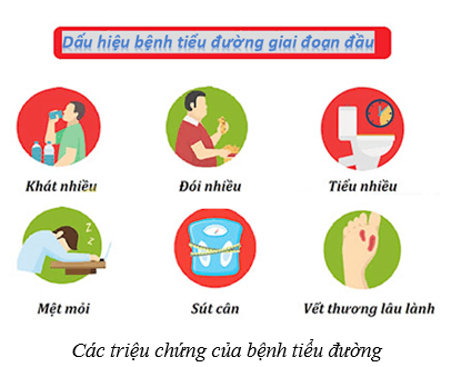 Lý thuyết KHTN 8 Kết nối tri thức Bài 38: Hệ nội tiết ở người 