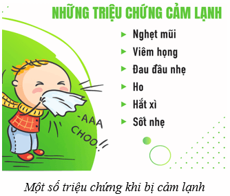 Lý thuyết KHTN 8 Kết nối tri thức Bài 39: Da và điều hòa thân nhiệt ở người 