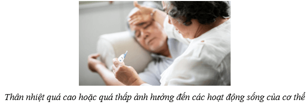 Lý thuyết KHTN 8 Kết nối tri thức Bài 39: Da và điều hòa thân nhiệt ở người 