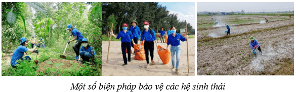 Lý thuyết KHTN 8 Kết nối tri thức Bài 44: Hệ sinh thái 