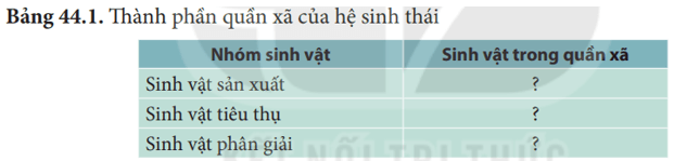 Lý thuyết KHTN 8 Kết nối tri thức Bài 44: Hệ sinh thái 