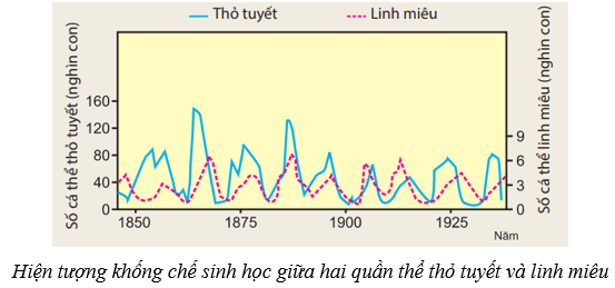 Lý thuyết KHTN 8 Kết nối tri thức Bài 46: Cân bằng tự nhiên 