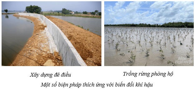 Lý thuyết KHTN 8 Kết nối tri thức Bài 47: Bảo vệ môi trường 