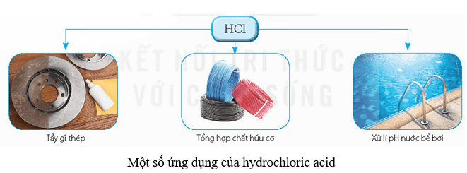 Lý thuyết KHTN 8 Kết nối tri thức Bài 8: Acid 