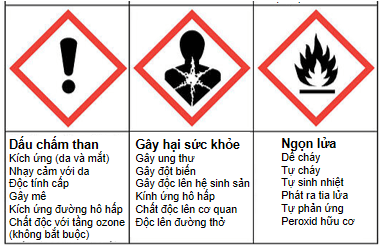 Trắc nghiệm KHTN 8 Kết nối tri thức Bài 1 (có đáp án): Sử dụng một số hóa chất, thiết bị cơ bản trong phòng thí nghiệm | Khoa học tự nhiên 8 