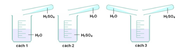 Trắc nghiệm KHTN 8 Kết nối tri thức Bài 8 (có đáp án): Acid | Khoa học tự nhiên 8