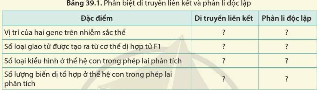 Xét sự di truyền của hai tính trạng, trội lặn hoàn toàn được quy định bởi hai gene