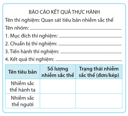 Lý thuyết KHTN 9 Cánh diều Bài 35: Nhiễm sắc thể và bộ nhiễm sắc thể