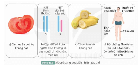 Trong các đột biến ở Hình 46.3, cho biết đột biến nào có lợi, đột biến nào có hại đối với con người