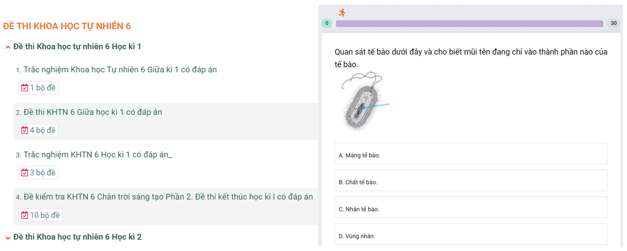 Học online Khoa học tự nhiên 6 Chân trời sáng tạo (hiệu quả nhất)