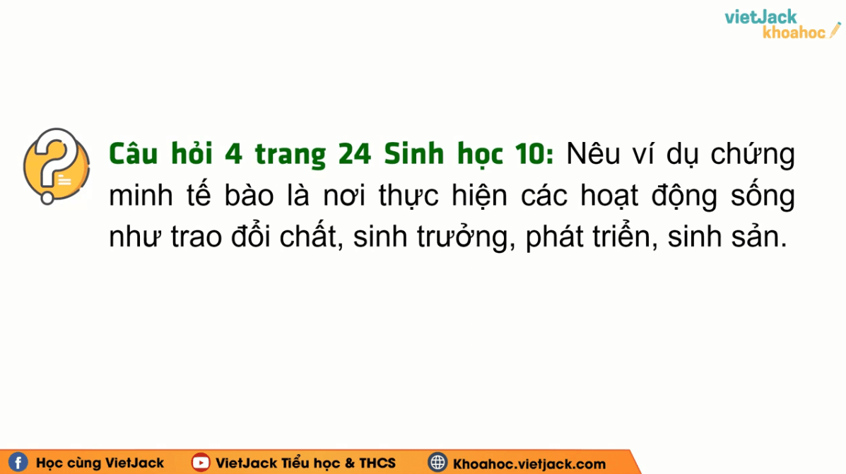 Học online Sinh học 10 Cánh diều (hiệu quả nhất)