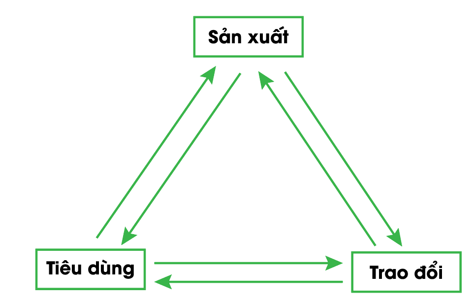 Em hãy vẽ sơ đồ mô tả mối quan hệ giữa các hoạt động sản xuất, hoạt động mua và bán