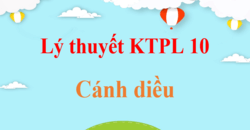 Lý thuyết KTPL 10 Cánh diều hay, ngắn gọn | Kiến thức trọng tâm Kinh tế Pháp luật 10