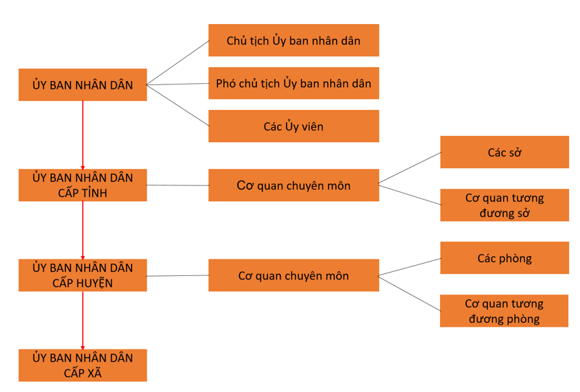 Vẽ sơ đồ thể hiện cơ cấu tổ chức của Ủy ban nhân dân