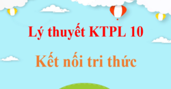 Lý thuyết Kinh tế Pháp luật 10 Kết nối tri thức hay, ngắn gọn | Kiến thức trọng tâm KTPL 10