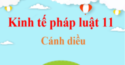 KTPL 11 Cánh diều | Giải bài tập Kinh tế pháp luật 11 (hay nhất, ngắn gọn) | Soạn KTPL 11 Cánh diều