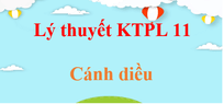 Lý thuyết Kinh tế Pháp luật 11 Cánh diều hay, ngắn gọn | Kiến thức trọng tâm KTPL 11