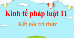 KTPL 11 Kết nối tri thức | Giải bài tập Kinh tế pháp luật 11 (hay nhất, ngắn gọn) | Soạn KTPL 11 Kết nối tri thức