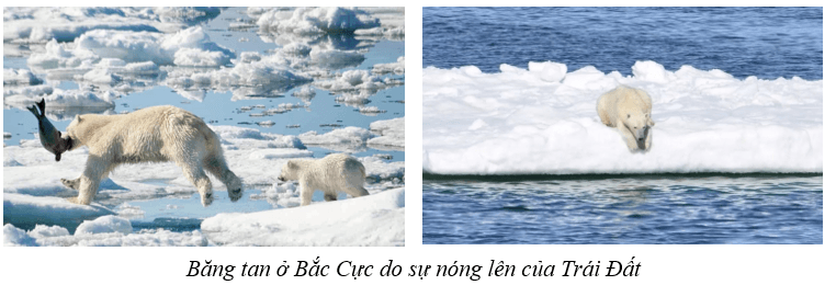Lý thuyết Lịch Sử 10 Kết nối tri thức Bài 2: Tri thức lịch sử và cuộc sống