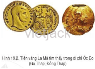 Đọc thông tin và kết hợp quan sát các hình 19.1, 19.2, hãy nêu các hoạt động