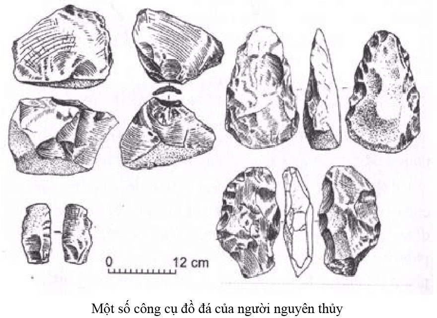 Lý thuyết Lịch sử 6 Bài 3: Nguồn gốc loài người