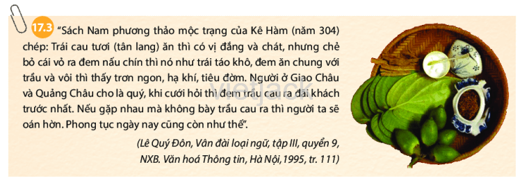 Soạn, giải bài tập Lịch Sử lớp 6 hay nhất - Chân trời sáng tạo