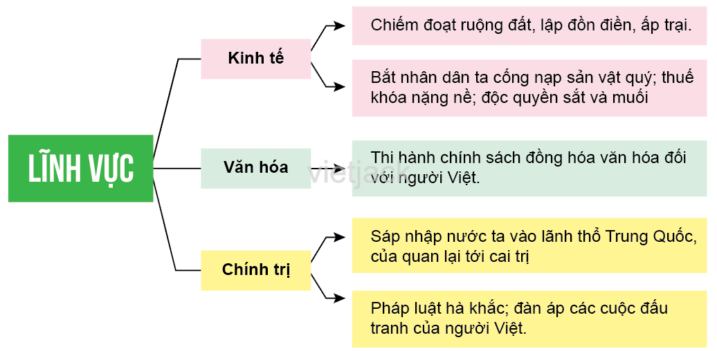 Soạn, giải bài tập Lịch Sử lớp 6 hay nhất - Chân trời sáng tạo