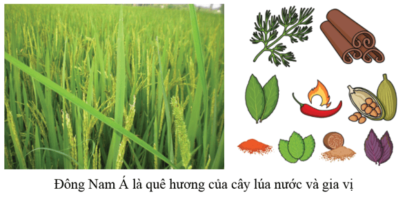 Lý thuyết Lịch Sử 6 Bài 11: Các quốc gia sơ kì ở Đông Nam Á