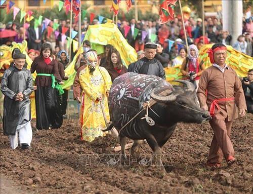 Lý thuyết Lịch Sử 7 Kết nối tri thức Bài 11: Nhà Lý xây dựng và phát triển đất nước (1009 - 1225)