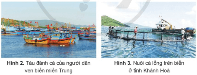 Lịch Sử và Địa Lí lớp 4 Cánh diều Bài 12: Dân cư, hoạt động sản xuất và một số nét văn hóa ở vùng Duyên hải miền Trung (ảnh 2)